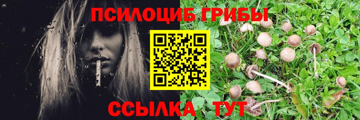 Псилоцибиновые грибы Magic Shrooms  Вход с VPN  Орск 
